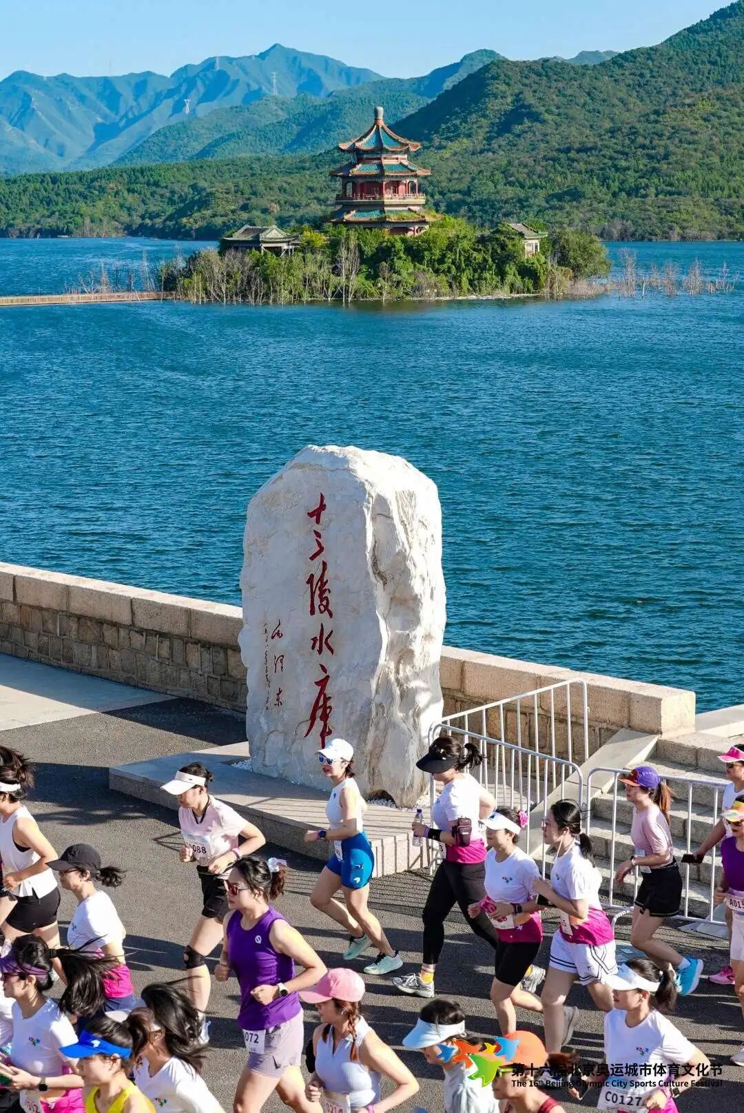 1196e0b3afd4aaf5e6169db0a513b483.jpg 1196e0b3afd4aaf5e6169db0a513b483.jpg